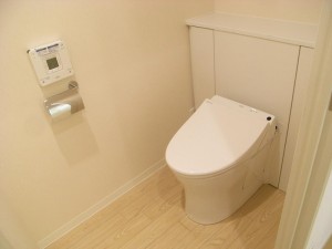 詰まりの解消、パッキン交換から便器交換まで